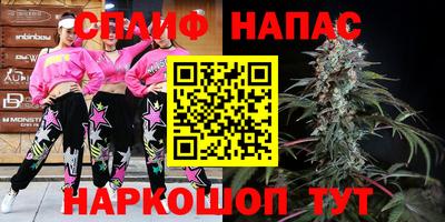 дмт Дубна