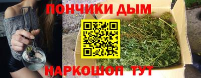 дмт Дубна