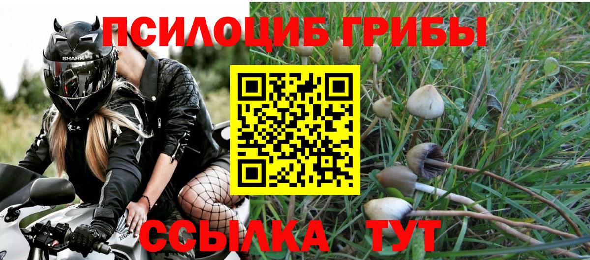 Камышин  Галлюциногенные грибы ЛСД  Вход с VPN  Галлюциногенные грибы мухоморы 