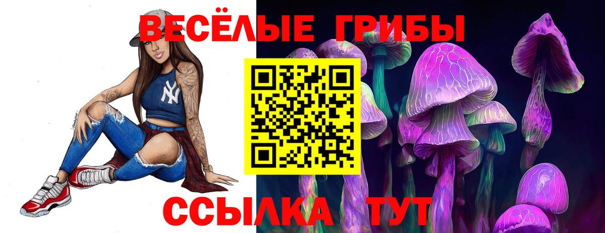 Псилоцибиновые грибы GOLDEN TEACHER Камышин